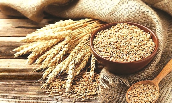 Thực phẩm giàu dinh dưỡng thay thế cho gạo trắng